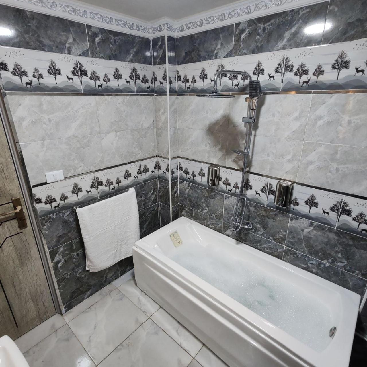 Del Cileo Great Hotel Cairo Exterior photo